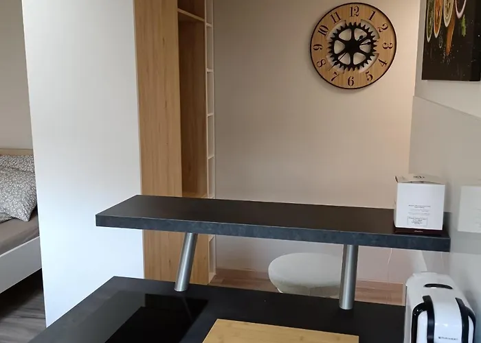 아파트 Apartma Dolgi 류블랴나