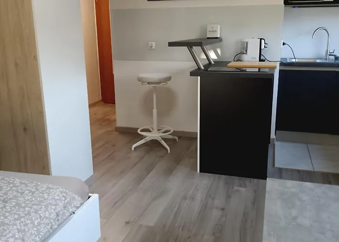 Apartma Dolgi 류블랴나