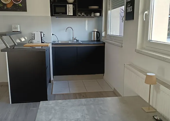 Apartma Dolgi * 류블랴나